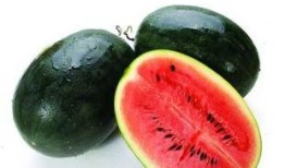 怀仁网红大瓜最新消息.今日黑料,今日黑料揭秘，真相令人震惊